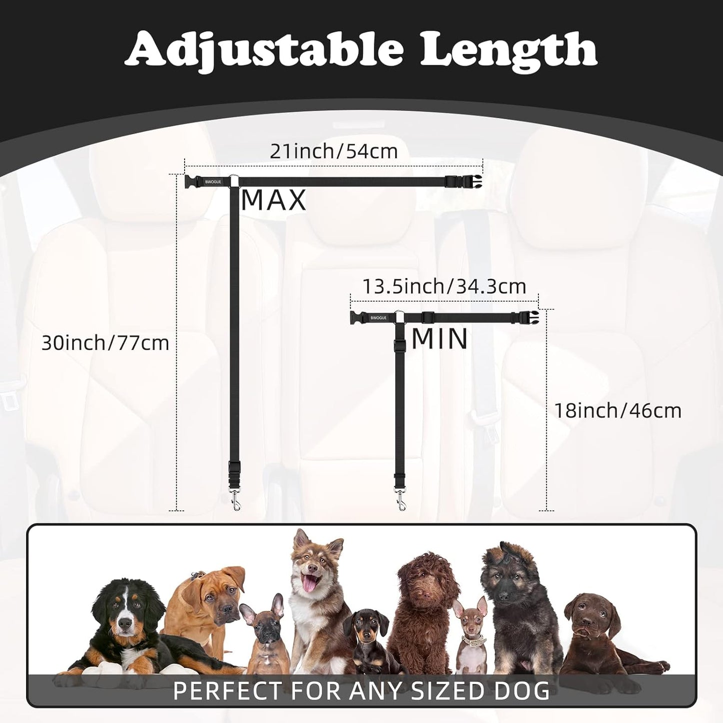 2 Packs Dog Cat Safety